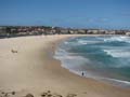 Bondi Beach